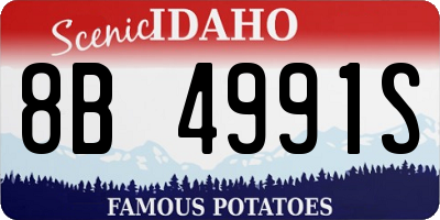 ID license plate 8B4991S