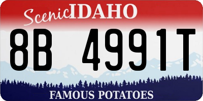 ID license plate 8B4991T