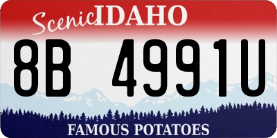 ID license plate 8B4991U