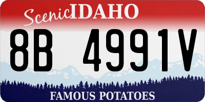 ID license plate 8B4991V