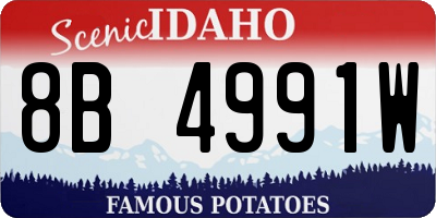 ID license plate 8B4991W
