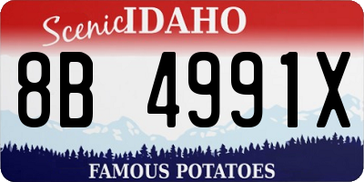 ID license plate 8B4991X