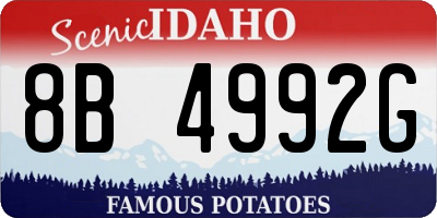 ID license plate 8B4992G