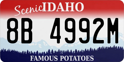 ID license plate 8B4992M