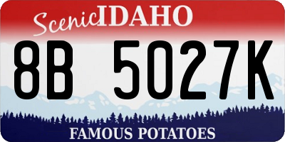 ID license plate 8B5027K