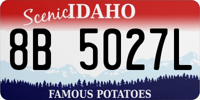 ID license plate 8B5027L
