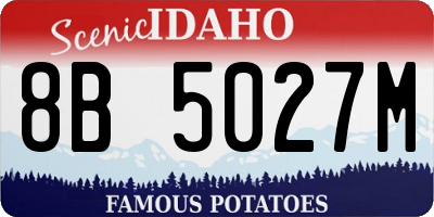 ID license plate 8B5027M