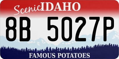 ID license plate 8B5027P