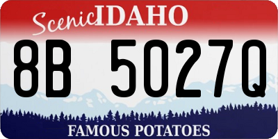 ID license plate 8B5027Q