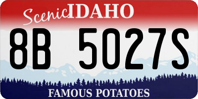 ID license plate 8B5027S