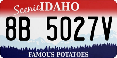 ID license plate 8B5027V