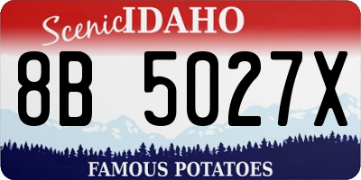 ID license plate 8B5027X
