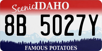 ID license plate 8B5027Y