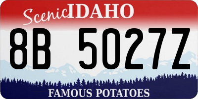ID license plate 8B5027Z