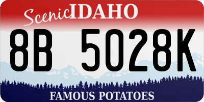 ID license plate 8B5028K