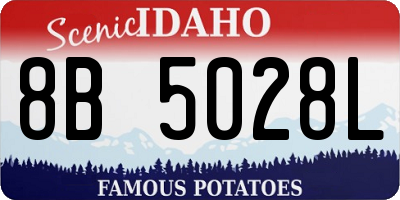 ID license plate 8B5028L