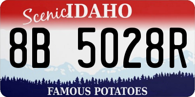 ID license plate 8B5028R
