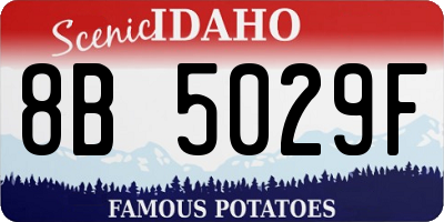 ID license plate 8B5029F