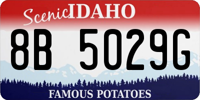 ID license plate 8B5029G
