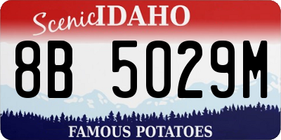 ID license plate 8B5029M
