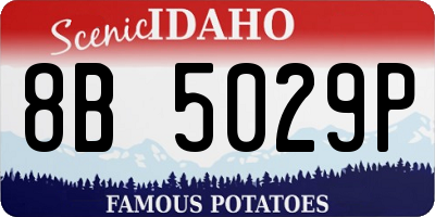 ID license plate 8B5029P