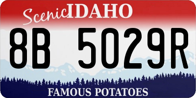 ID license plate 8B5029R