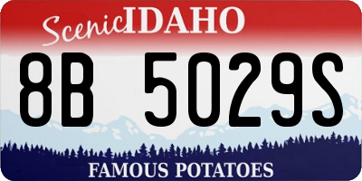 ID license plate 8B5029S