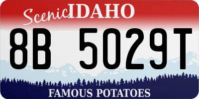 ID license plate 8B5029T
