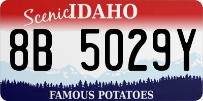 ID license plate 8B5029Y