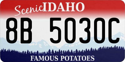 ID license plate 8B5030C