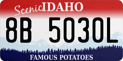 ID license plate 8B5030L