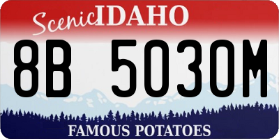 ID license plate 8B5030M