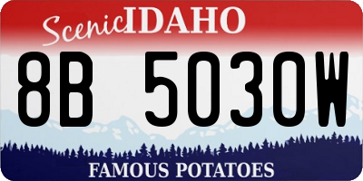 ID license plate 8B5030W