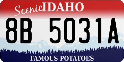 ID license plate 8B5031A