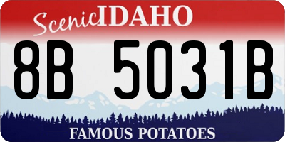 ID license plate 8B5031B