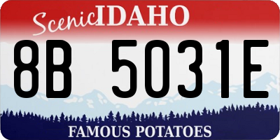 ID license plate 8B5031E