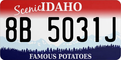 ID license plate 8B5031J