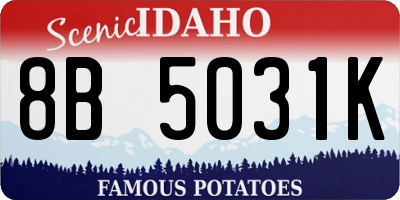 ID license plate 8B5031K