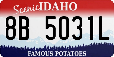 ID license plate 8B5031L