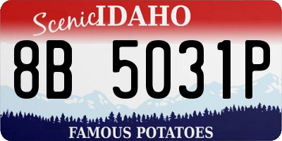 ID license plate 8B5031P