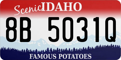 ID license plate 8B5031Q