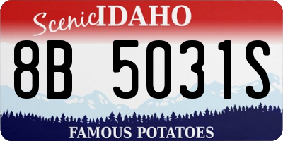 ID license plate 8B5031S
