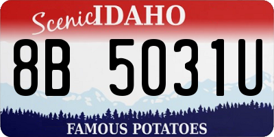 ID license plate 8B5031U