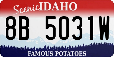 ID license plate 8B5031W