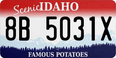 ID license plate 8B5031X
