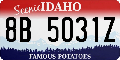 ID license plate 8B5031Z