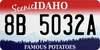 ID license plate 8B5032A