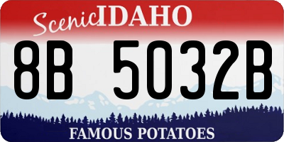 ID license plate 8B5032B