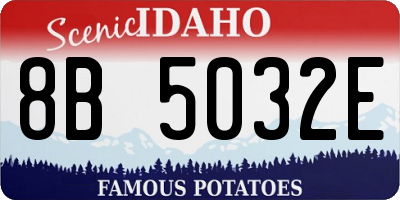 ID license plate 8B5032E