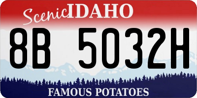 ID license plate 8B5032H